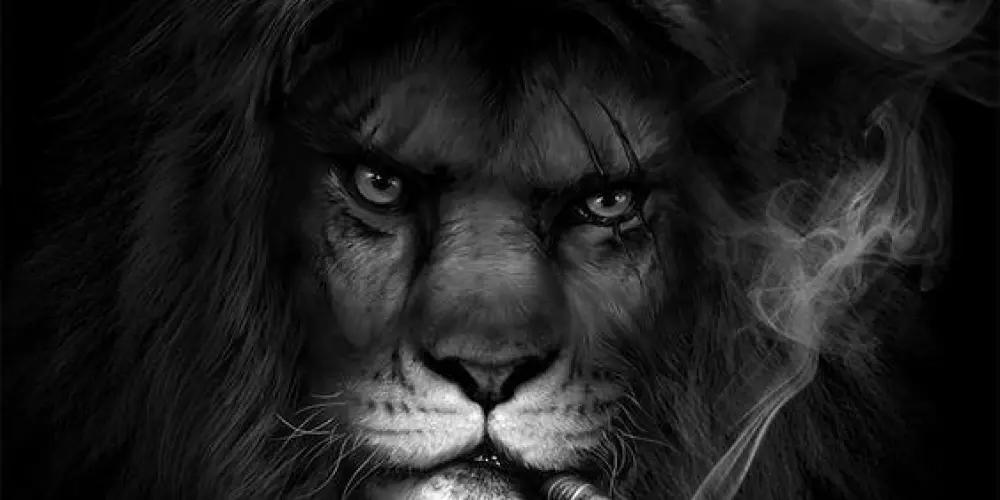 Imagem do grupo de WhatsApp Máfia do leão 🦁💛