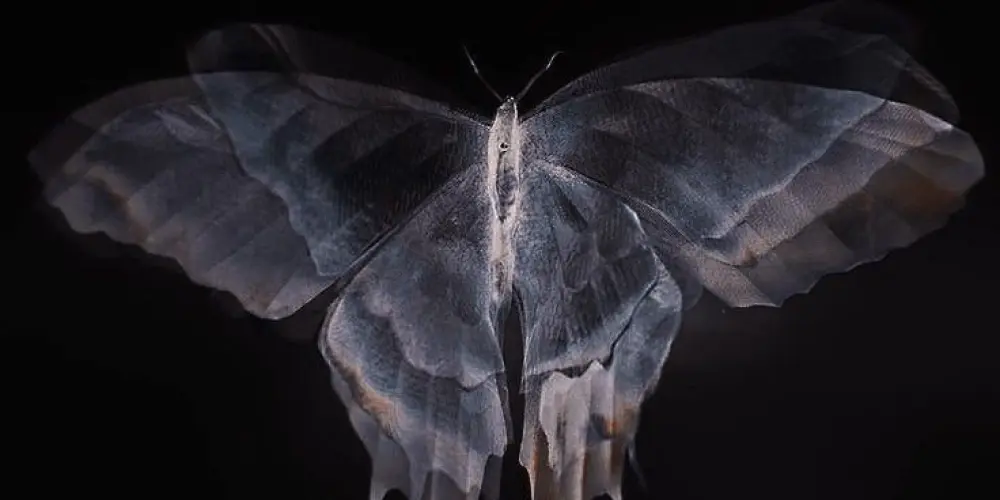 Imagem do grupo de WhatsApp MAGIA - ACADEMIA ARCANA