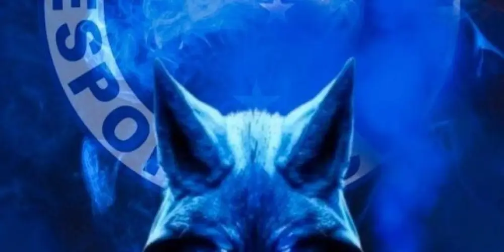 Imagem do grupo de WhatsApp Maior de Minas 🦊💙