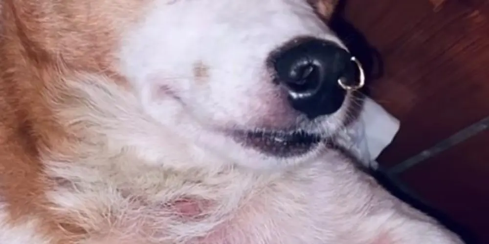 Imagem do grupo de WhatsApp Mais midias da web