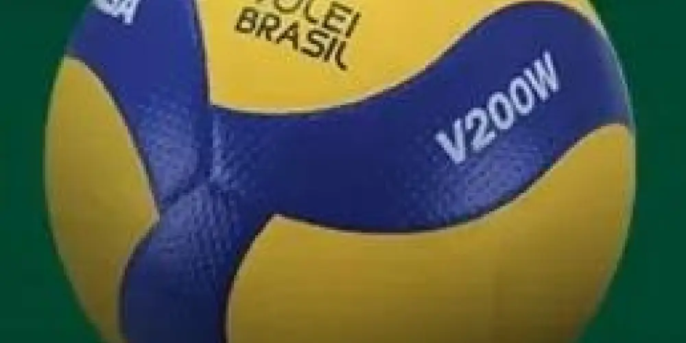 Imagem do grupo de WhatsApp Mais Vôlei