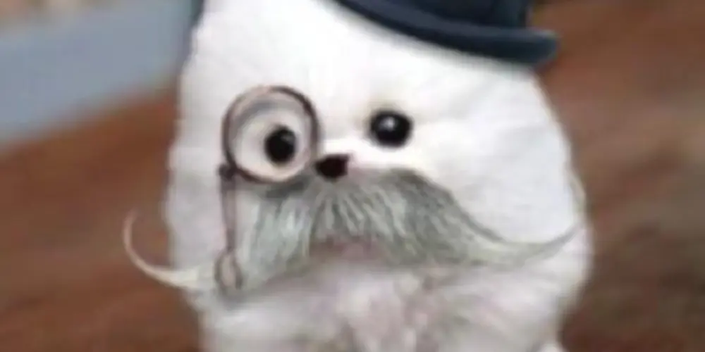 Imagem do grupo de WhatsApp Malame amarelo e preto