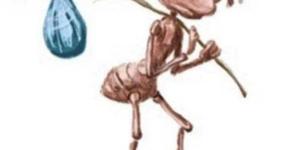 Imagem do grupo de WhatsApp malice at the palace