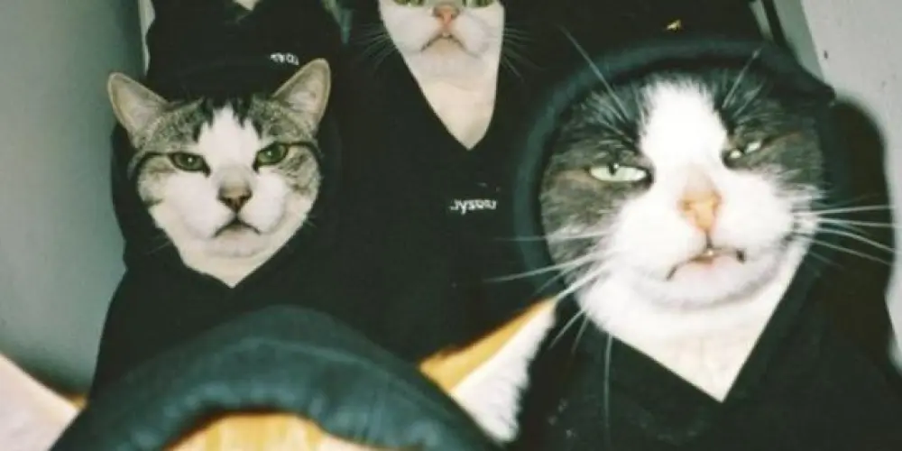 Imagem do grupo de WhatsApp ✧🔥⑅MALTA DOIDA⑅🔥✧