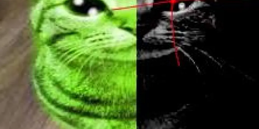 Imagem do grupo de WhatsApp Malware store testadores de vírus e fãns