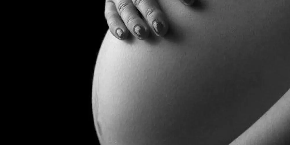 Imagem do grupo de WhatsApp Mamães de 2026 ✨🤰