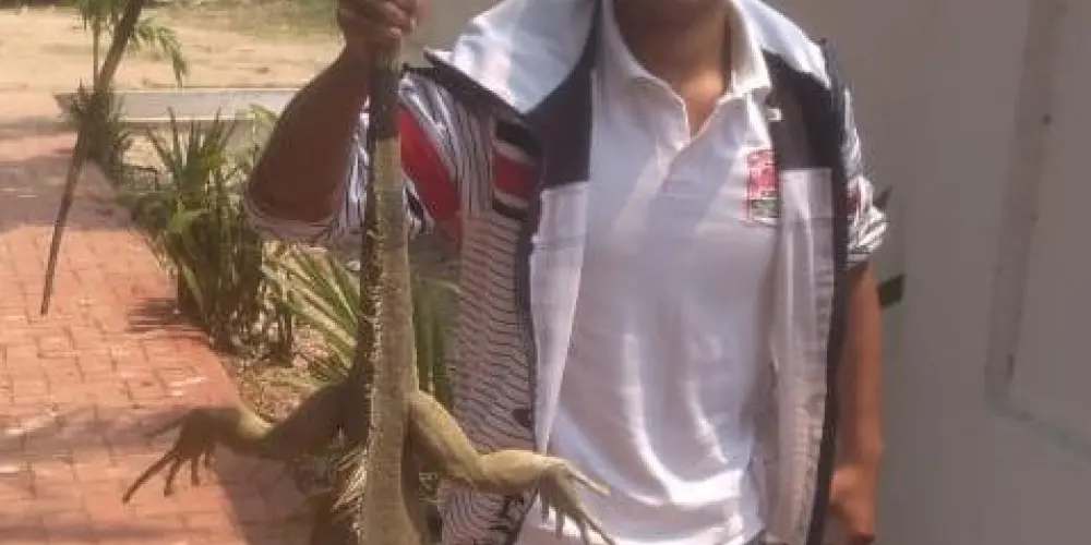 Imagem do grupo de WhatsApp Mamás Solteras buscando una polla 🥵