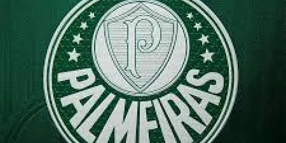 Imagem do grupo de WhatsApp MANCHA VERDE🇧🇷