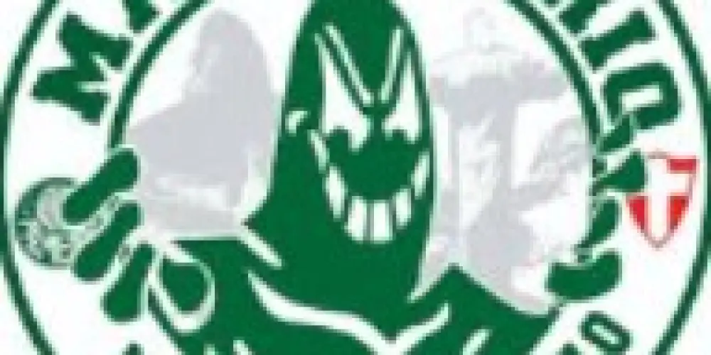 Imagem do grupo de WhatsApp MANCHA VERDE ATE MORRER