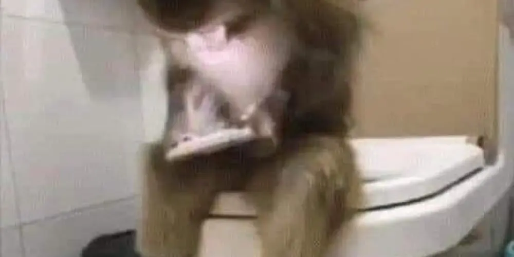 Imagem do grupo de WhatsApp Manicômio 🔞