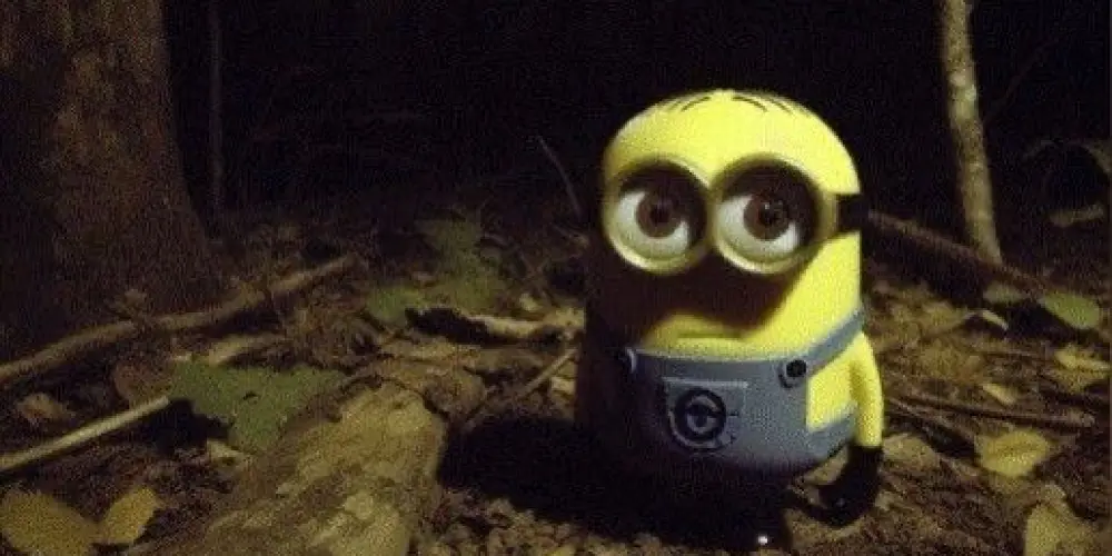 Imagem do grupo de WhatsApp Manicômio 🥵