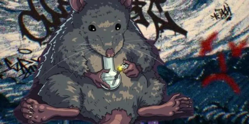 Imagem do grupo de WhatsApp Manicômio