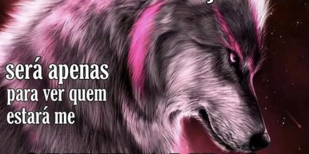 Imagem do grupo de WhatsApp manicômio web🐁