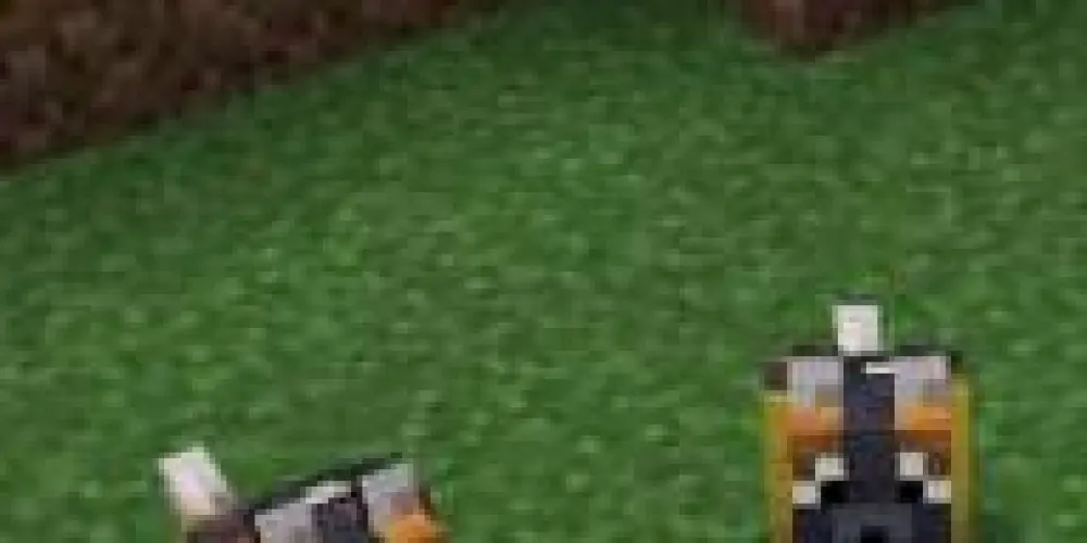 Imagem do grupo de WhatsApp Manicreft cidade