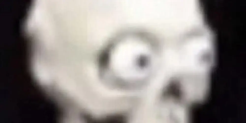 Imagem do grupo de WhatsApp Manics