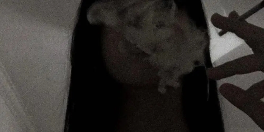 Imagem do grupo de WhatsApp *Manifest*