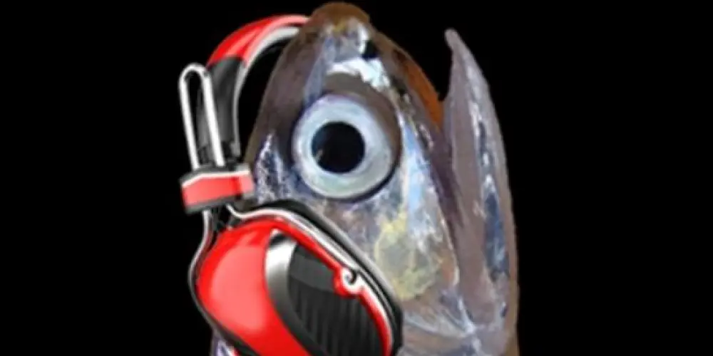 Imagem do grupo de WhatsApp Manjuba Crazy, a 1a!