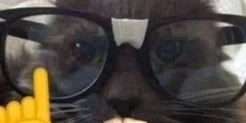 Imagem do grupo de WhatsApp manoel gomeses