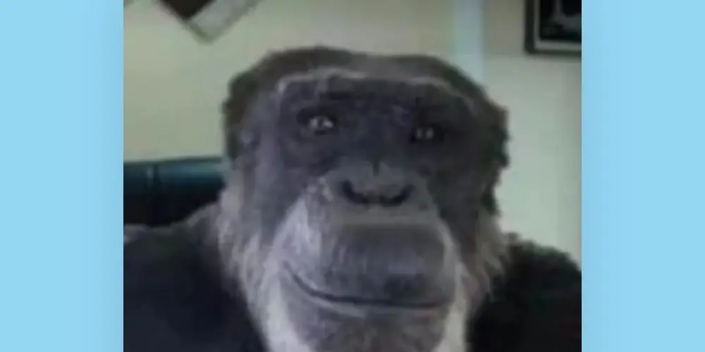 Imagem do grupo de WhatsApp -MANORO OU AMIZADE-👿🥰