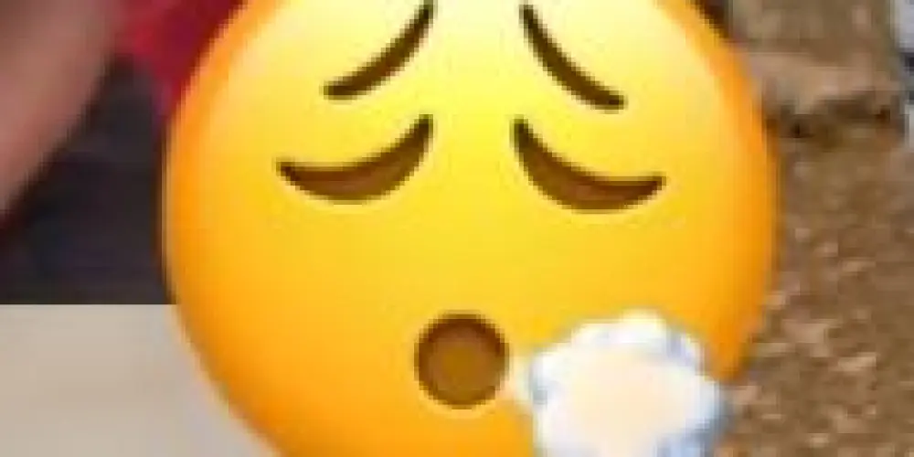 Imagem do grupo de WhatsApp Manos e princesas