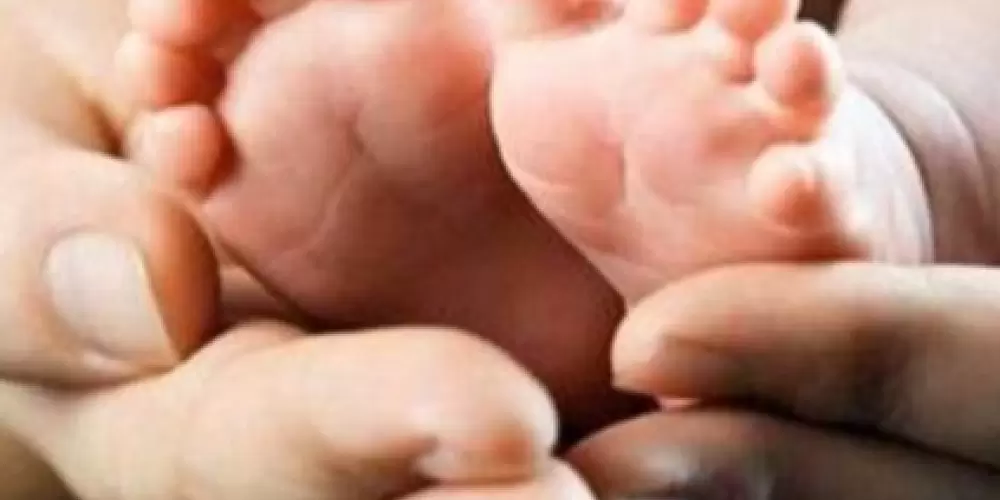 Imagem do grupo de WhatsApp Maternidade Segura 🤰🏻👶🏻