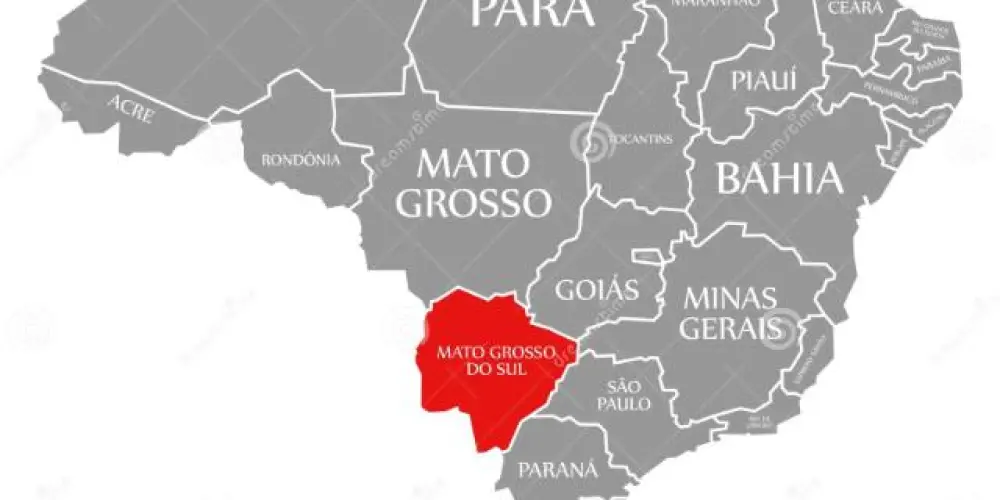 Imagem do grupo de WhatsApp Mato Grosso do Sul