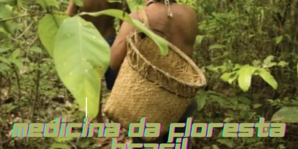 Imagem do grupo de WhatsApp MEDICINA DA FLORESTA