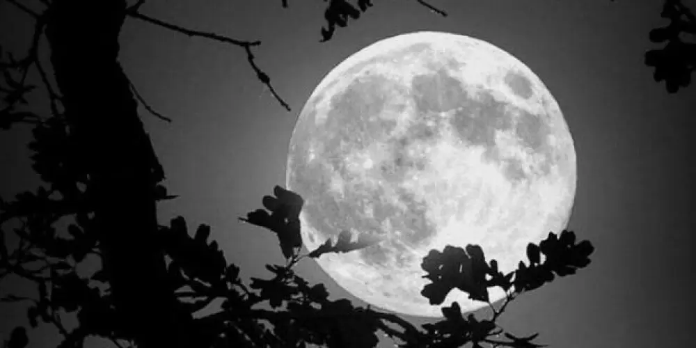 Imagem do grupo de WhatsApp Meia noite🌙🌠☆★☆★☆★☆★☆★☆★