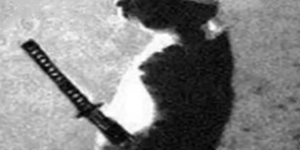 Imagem do grupo de WhatsApp Meia noite cê descobre 🧏💀💤