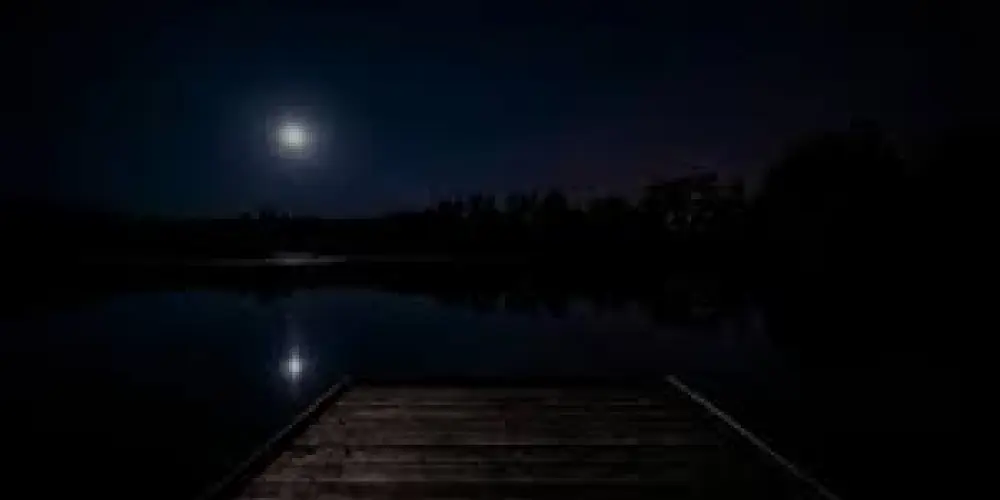 Imagem do grupo de WhatsApp Meia Noite E Meia 🌕☕