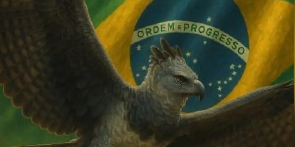 Imagem do grupo de WhatsApp MELHORES DO BRASIL 🇧🇷 🎊