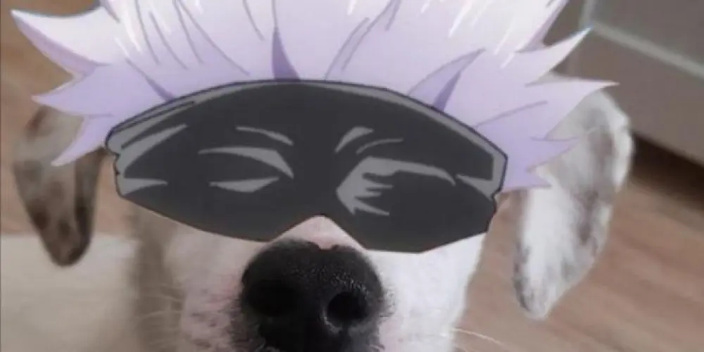 Imagem do grupo de WhatsApp ▀▄▀▄▀▄ melhores do ff²²▀▄▀▄▀▄