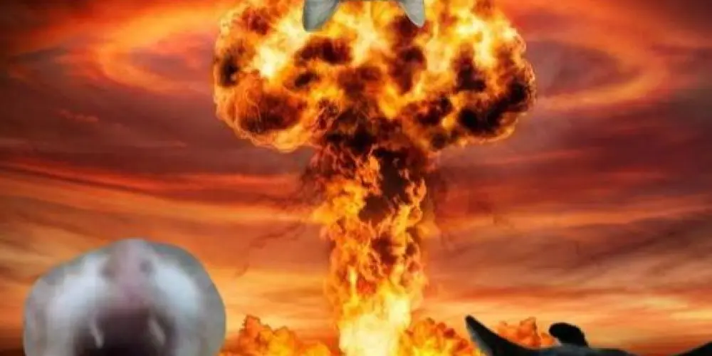 Imagem do grupo de WhatsApp membros 💯 limites