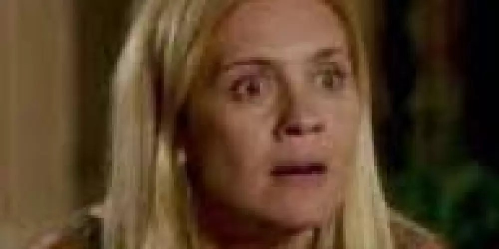 Imagem do grupo de WhatsApp Meme de blox fruits