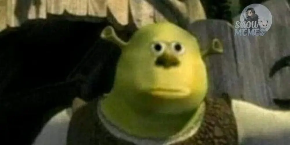 Imagem do grupo de WhatsApp 🫪memes e gameplay porque sim 👍