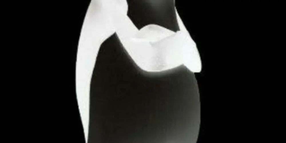 Imagem do grupo de WhatsApp Mendigos da Cracolândia