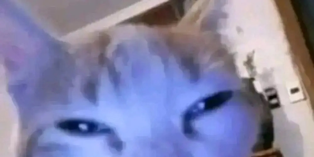 Imagem do grupo de WhatsApp Meninas amigas💕