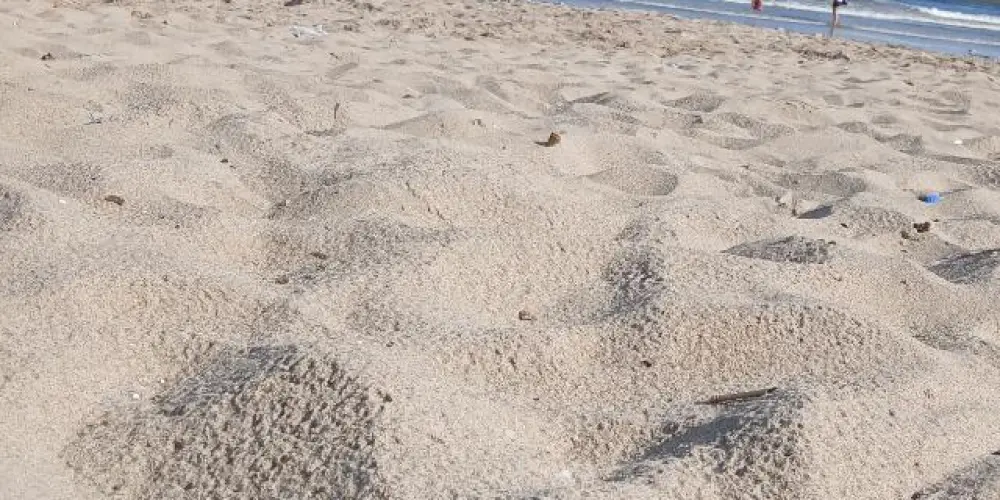 Imagem do grupo de WhatsApp Meninas divas 👑❣️🤭