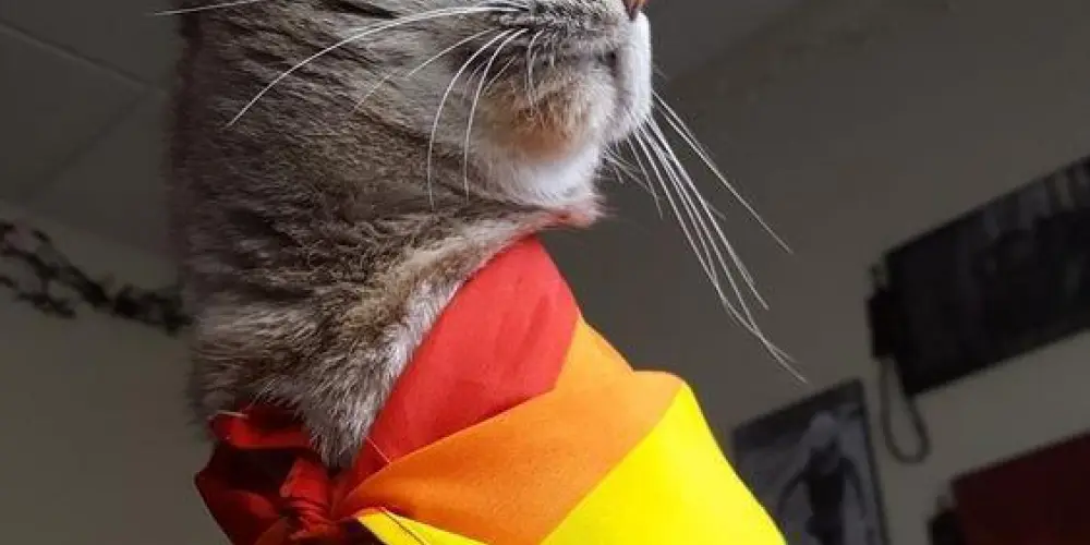 Imagem do grupo de WhatsApp Meninas do RN🏳‍🌈