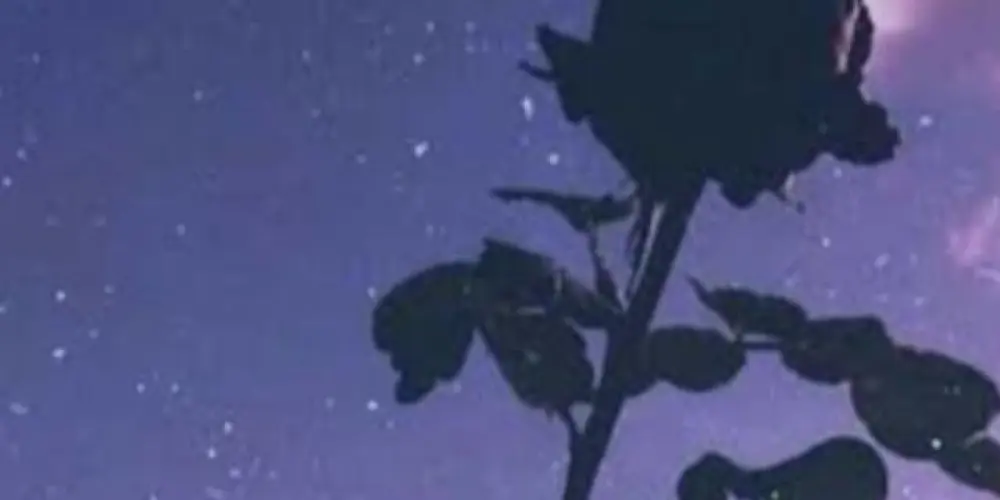 Imagem do grupo de WhatsApp Meninas trans😘 👄