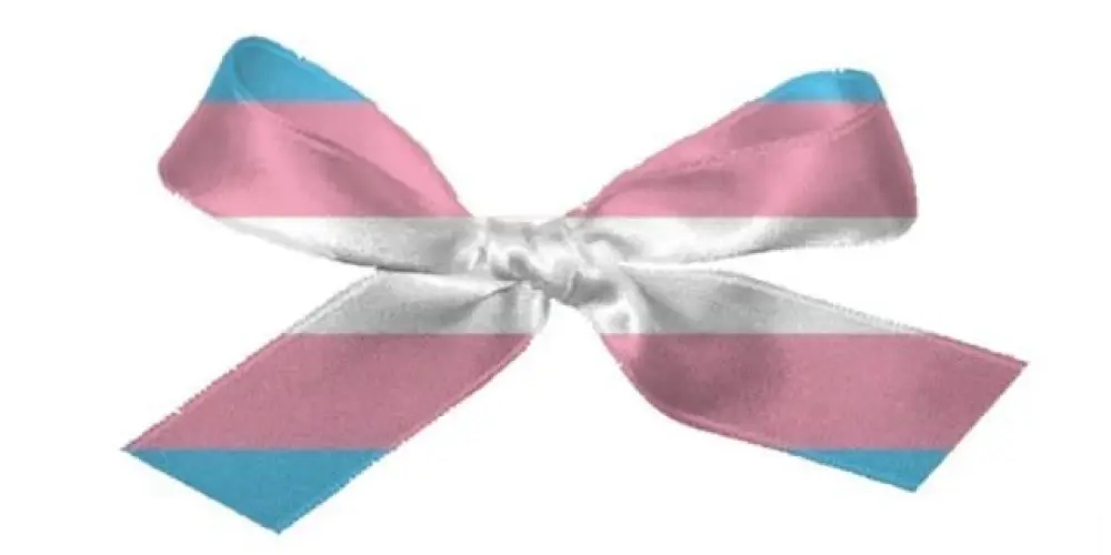 Imagem do grupo de WhatsApp 🌷 Meninas Trans: Amor e Acolhimento 🩷