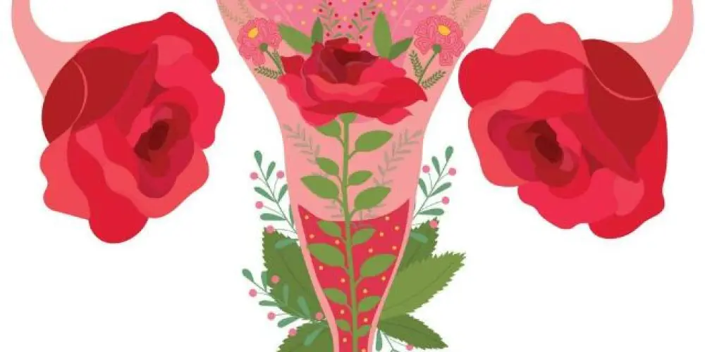 Imagem do grupo de WhatsApp Menopausa