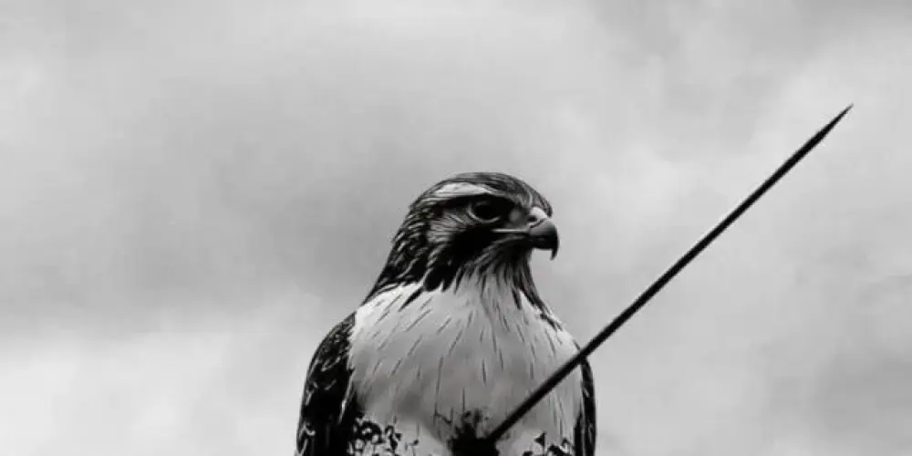 Imagem do grupo de WhatsApp *MENTALIDADE*