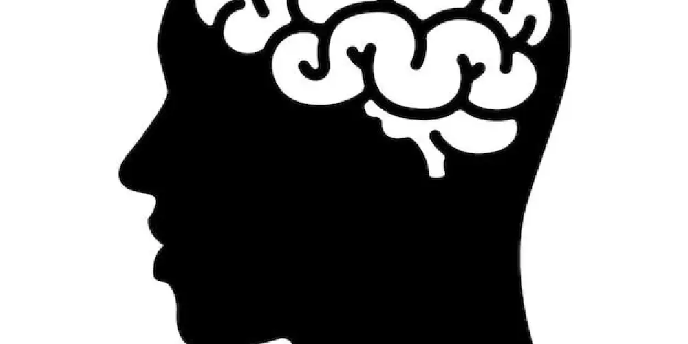 Imagem do grupo de WhatsApp Mentes em Harmonia – Saúde Mental Importa! 🧬❤️🧠