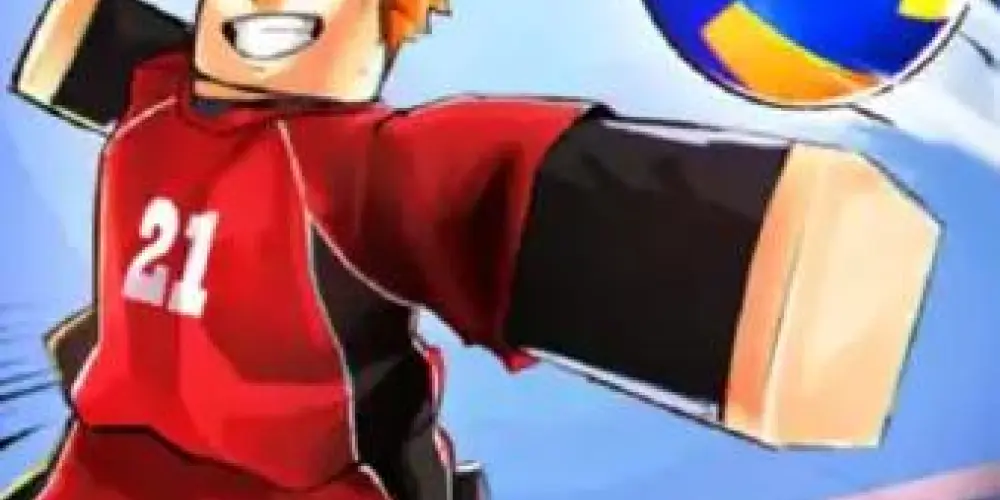 Imagem do grupo de WhatsApp Mercado negro do voleibol