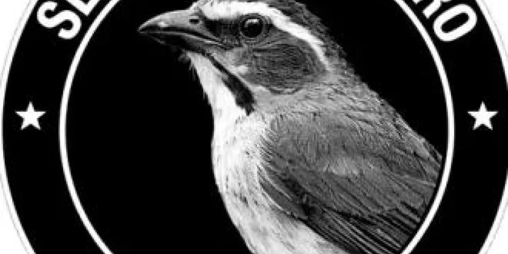 Imagem do grupo de WhatsApp Mestres do assobio 🕊️