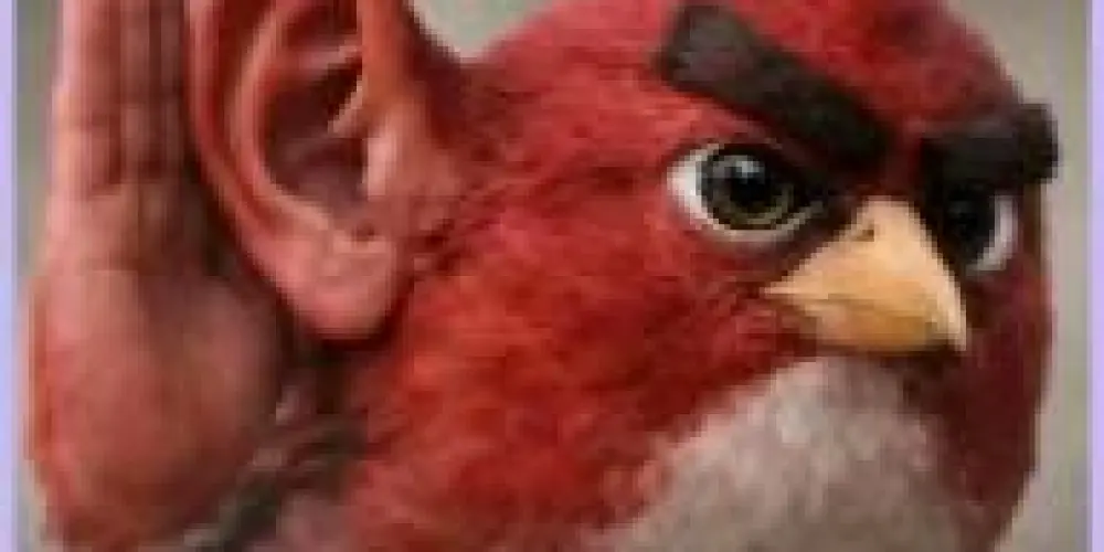 Imagem do grupo de WhatsApp Mestres dos assobios