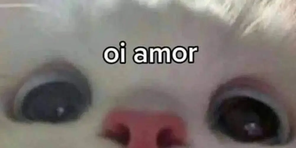Imagem do grupo de WhatsApp Metade da Minha Laranja 🍊