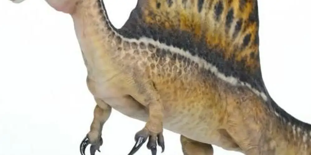 Imagem do grupo de WhatsApp Metamorfose