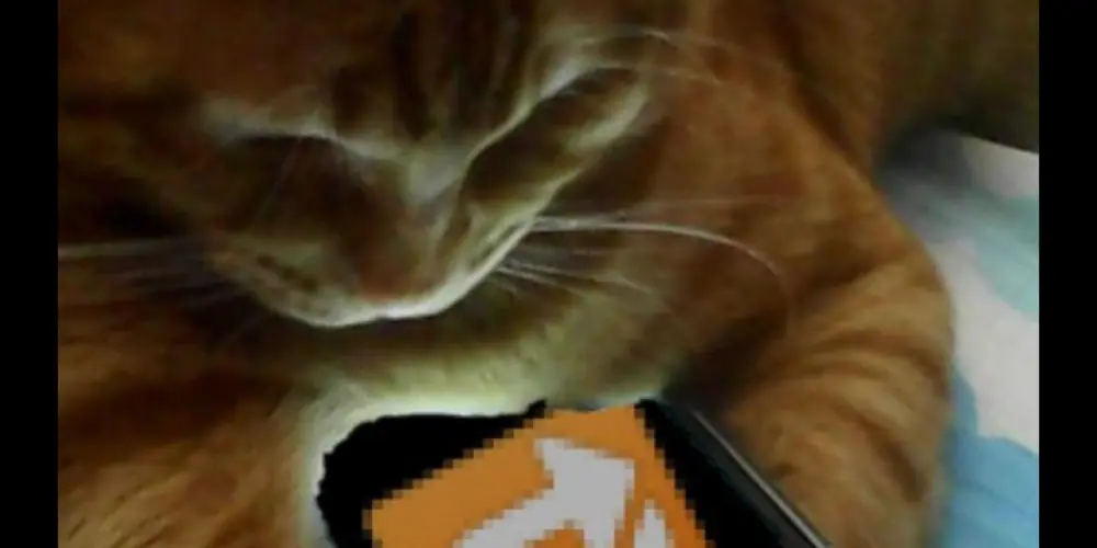 Imagem do grupo de WhatsApp Meu Status | Core 💯